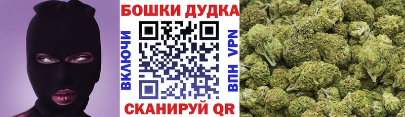 Купить  Новозыбков  Марихуана планчик 